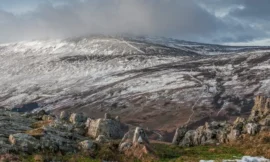 Easter Tor, Cheviot Hills