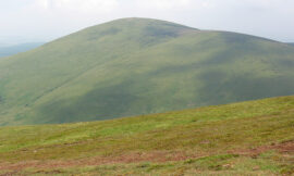 Hedge Hope, Cheviot Hills