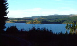 Cycling in Kielder Forest