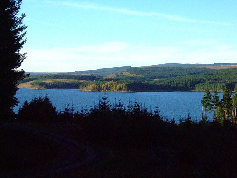 You are currently viewing Cycling in Kielder Forest