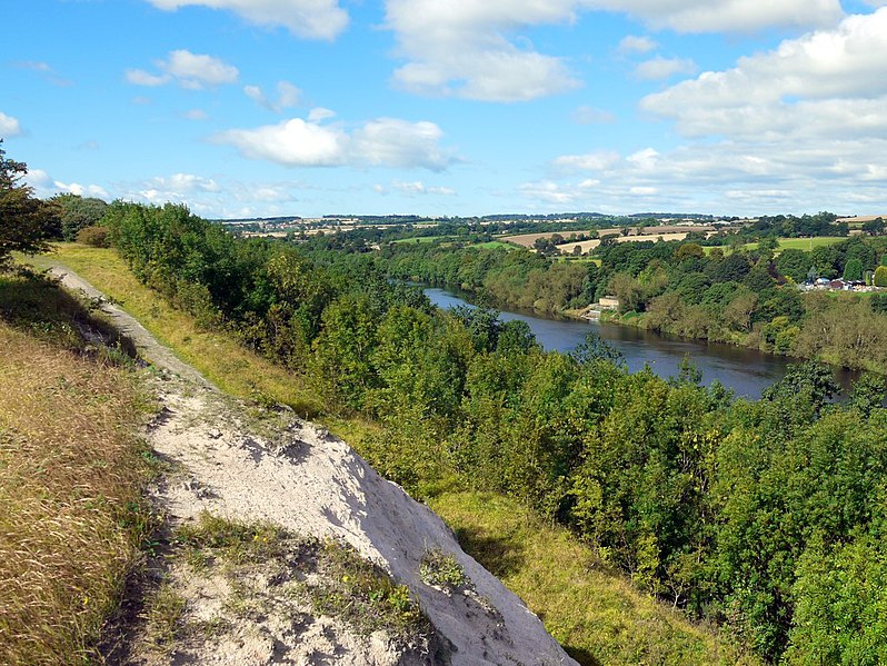 River_Tyne_west_from_the_Spetchells_-_geograph.org_.uk_-_2039138-1