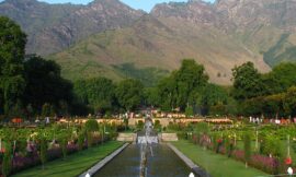 Nishat Bagh, India