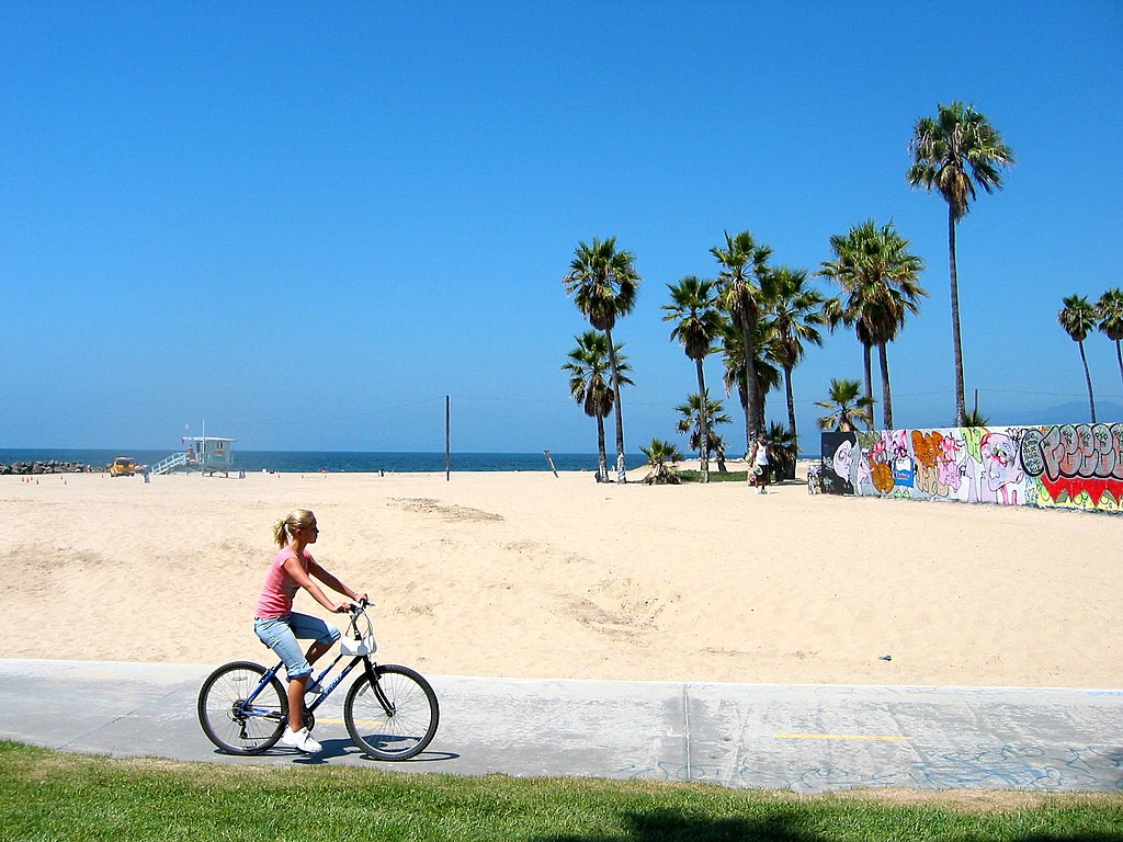 You are currently viewing Venice Beach