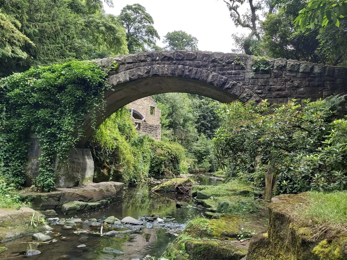 You are currently viewing Jesmond Dene