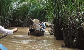 Mekong Delta Day Trip