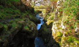 Hethpool Linn