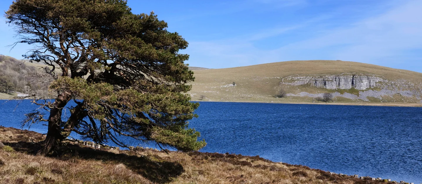 You are currently viewing Malham Tarn