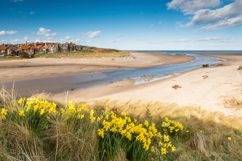 Alnmouth Beach