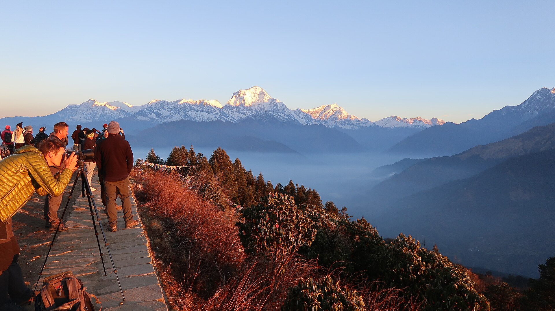 You are currently viewing Ghorepani Poon Hill