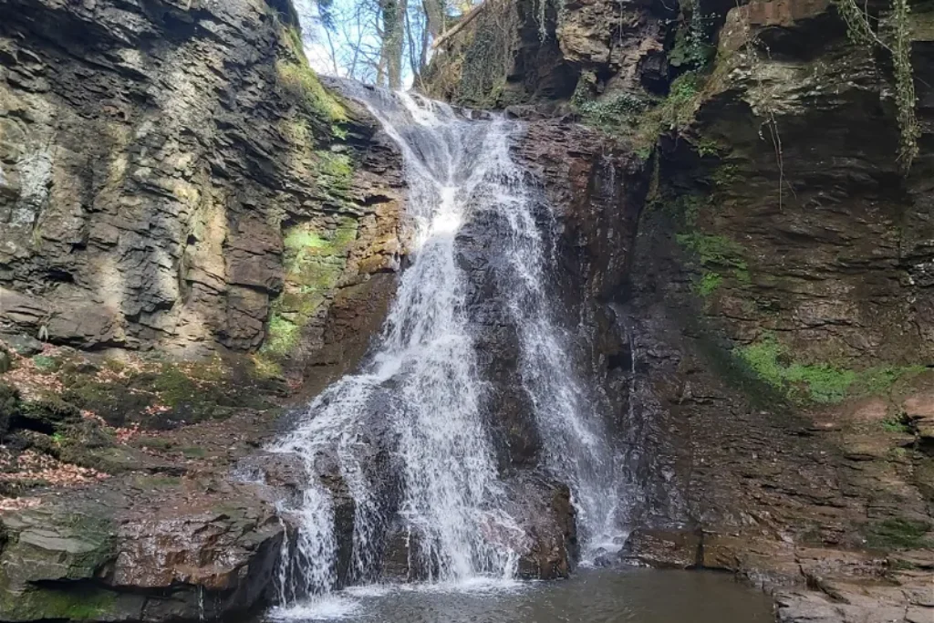 Hareshaw Linn