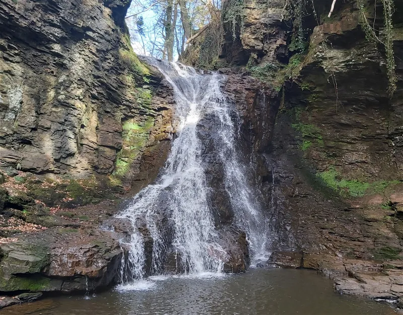 You are currently viewing Hareshaw Linn