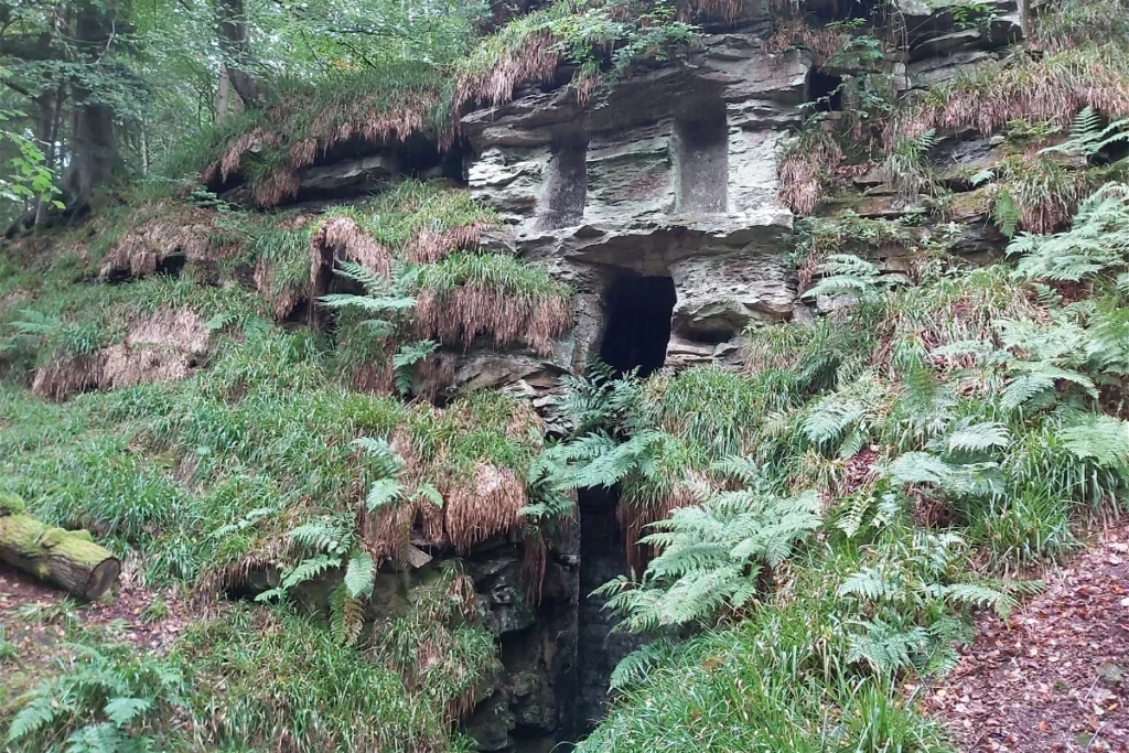 Nature Grotto Hartburn Forest