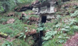 Nature Grotto Hartburn Forest