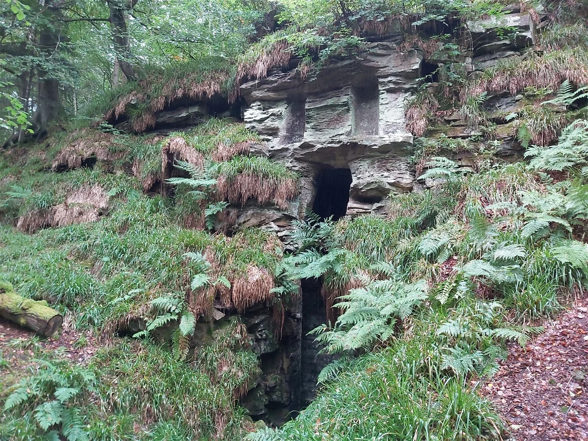 You are currently viewing Nature Grotto Hartburn Forest