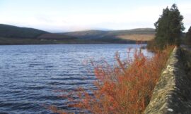 Catcleugh Reservoir