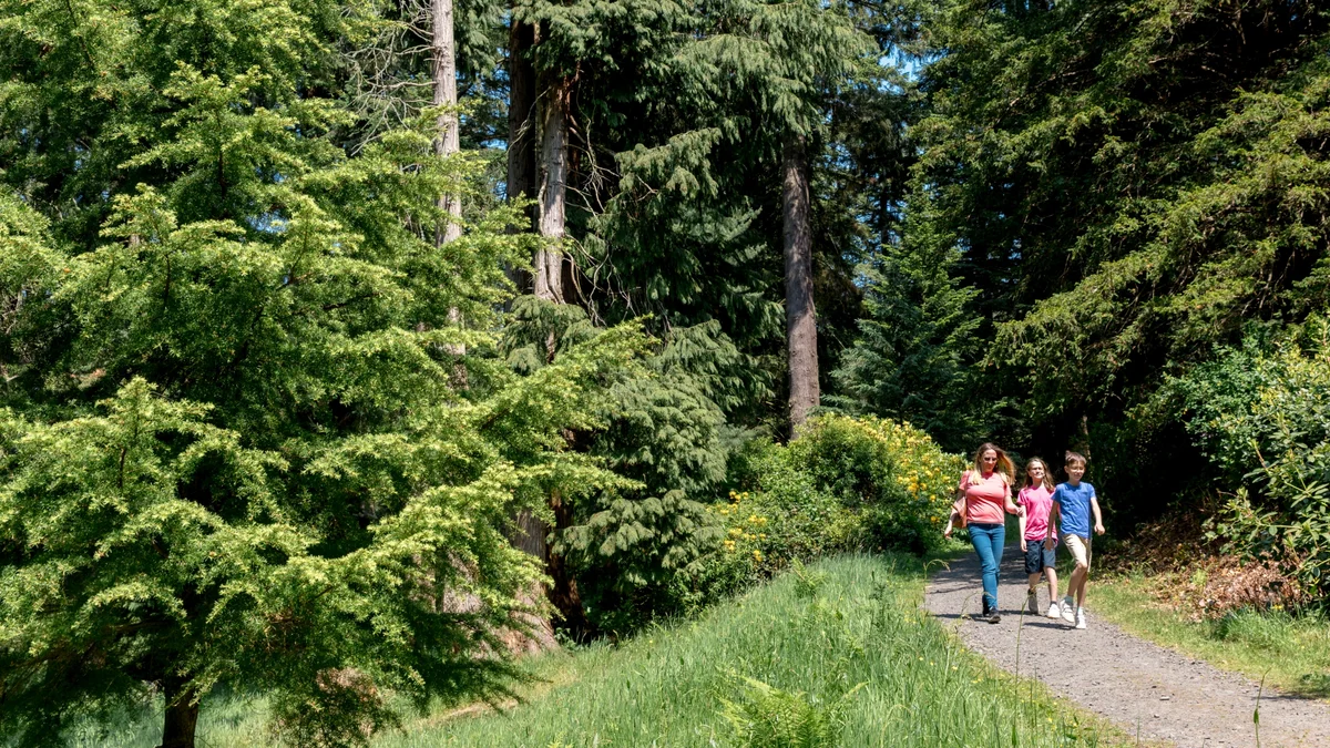 You are currently viewing Armstrong Trail at Cragside