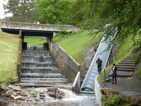 You are currently viewing Archimedes Screw Hydro Generator, Cragside