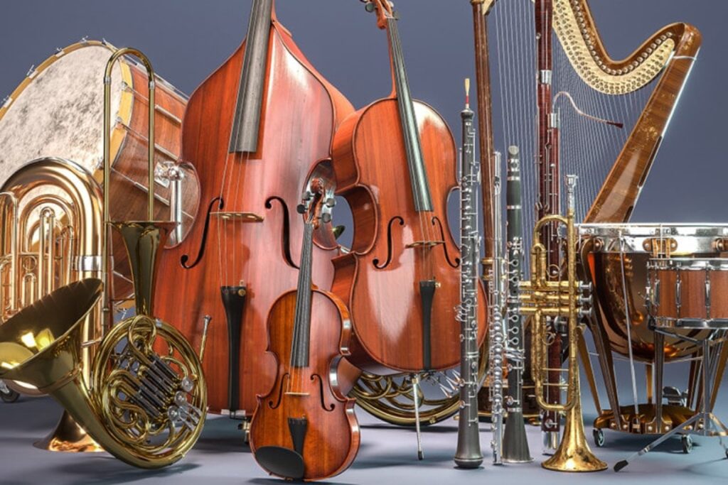 The Musical Instruments in an Orchestra