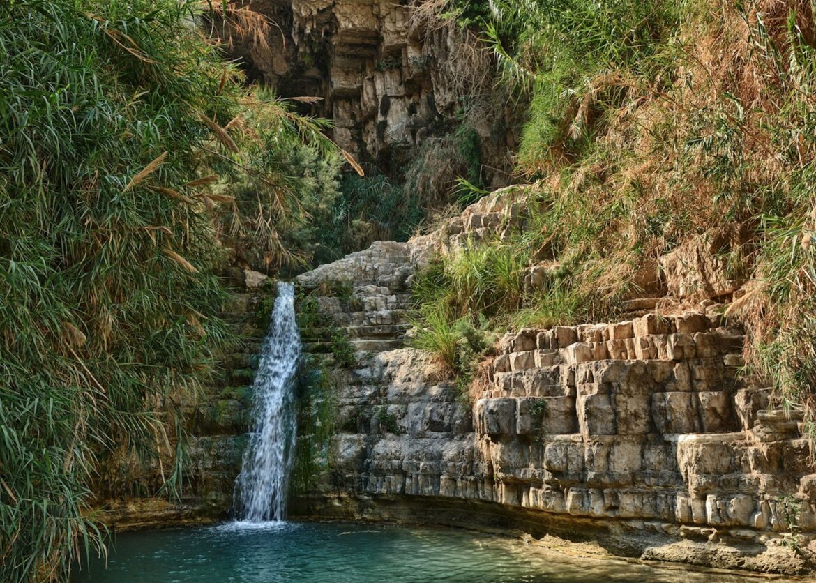 15975041-ein-gedi-nature-reserve